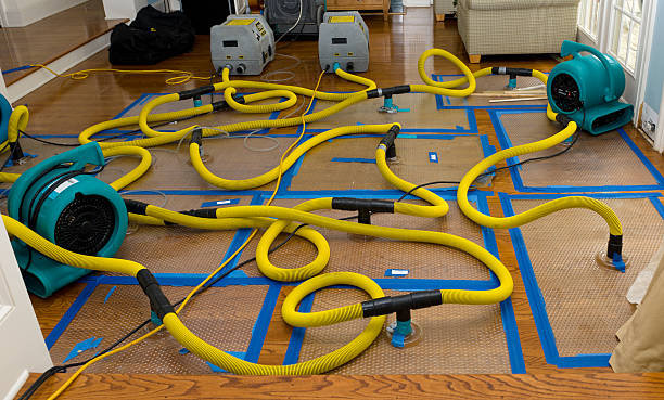 Professional Water Damage Repair technician working in Spring Valley, OH